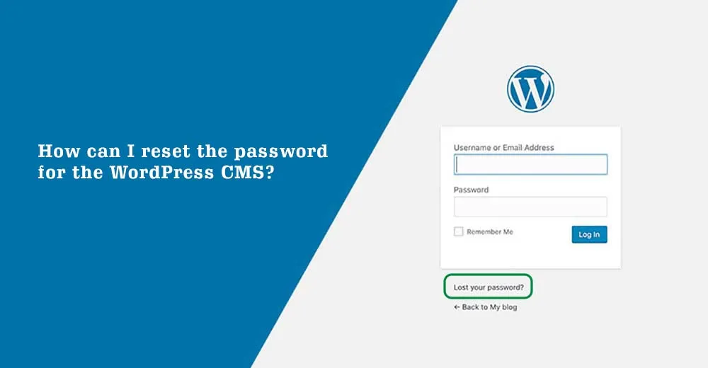How can I reset the password for the WordPress CMS?